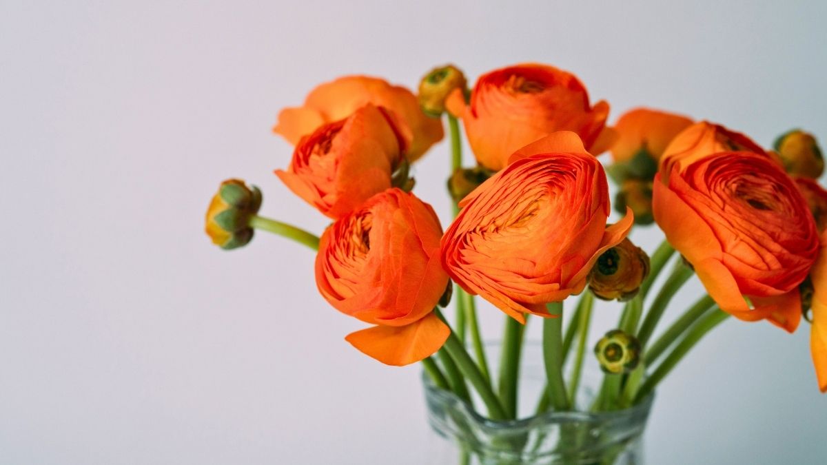 orange flowers in a glass vase as a thoughtful hostess gifts for Thanksgiving
