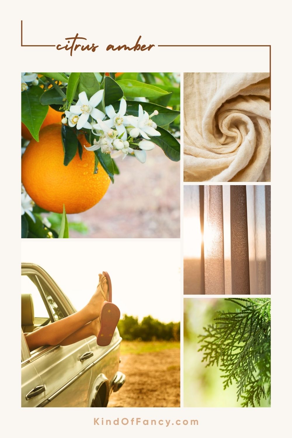 Mood board featuring lemons, clementines, orange blossom, cedarwood, warm amber, and Being Frenshe Citrus Amber body mist, capturing a fresh citrus fragrance with soft woody depth.